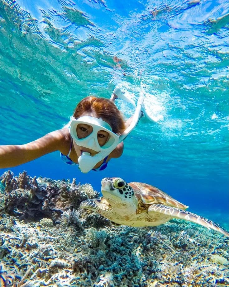 Snorkel 1