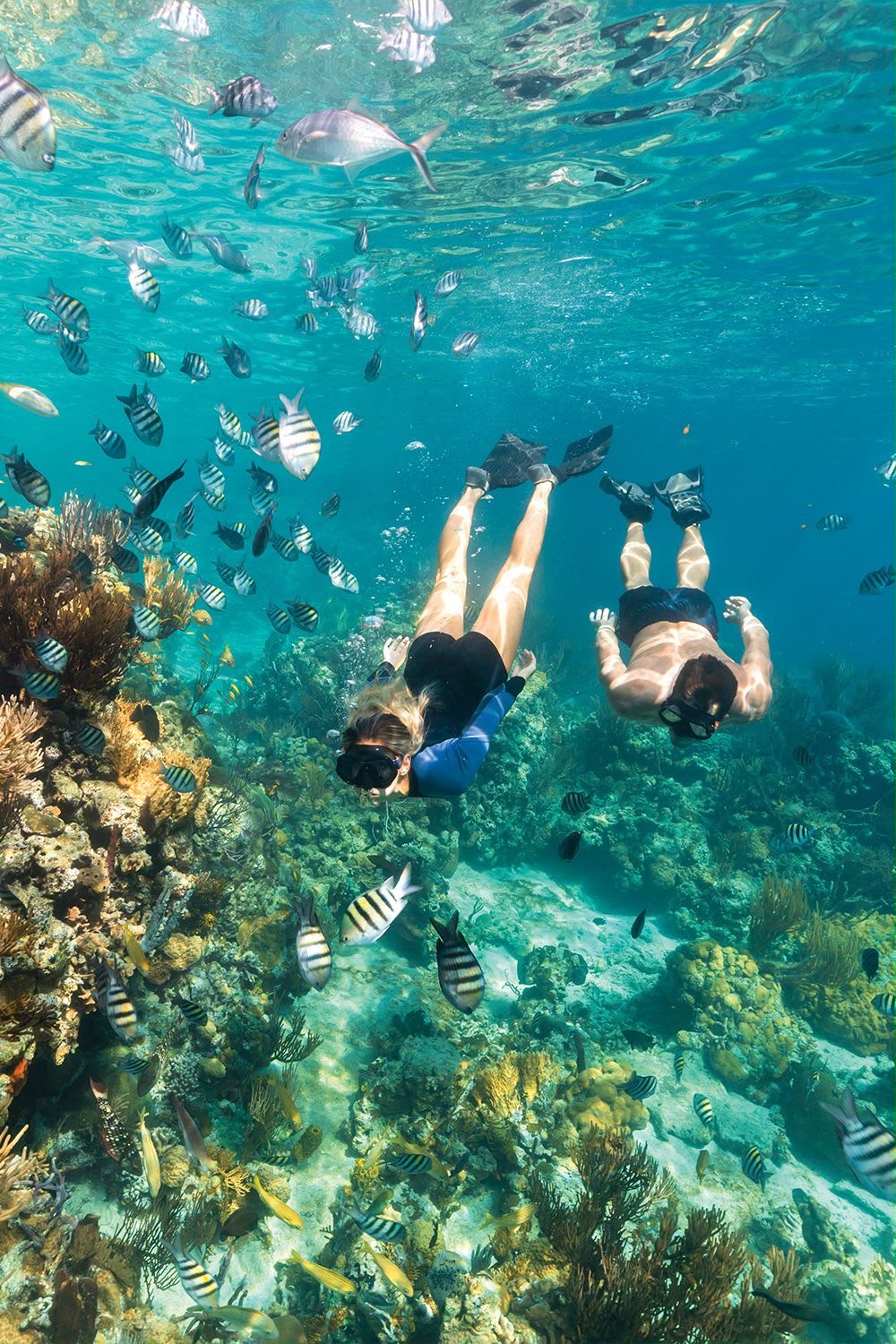 Snorkel 3